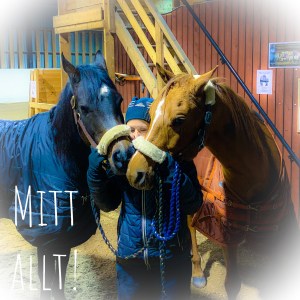 254aecbf-4a7c-4a87-8b13-9da3c0b24295