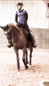 48be8575-4b17-47e2-b13d-a8ff48e87047