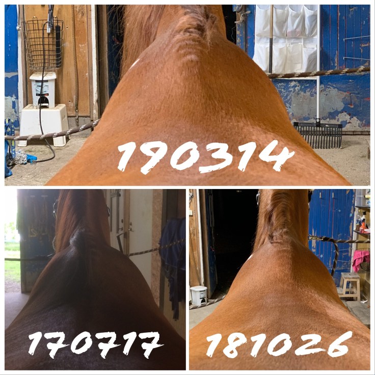 df951191-3957-4d84-bae5-b60f363abeab